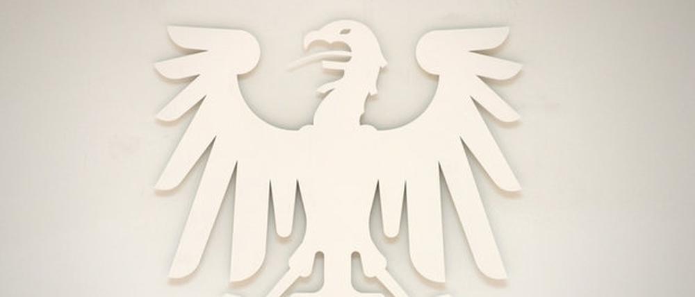 Unschuldige Kunst, dem Farbrausch der Öffentlichkeit ausgesetzt. Um die Farbe des Adlers im Brandenburger Landtag wird heftig gestritten.