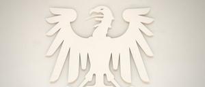 Unschuldige Kunst, dem Farbrausch der Öffentlichkeit ausgesetzt. Um die Farbe des Adlers im Brandenburger Landtag wird heftig gestritten.