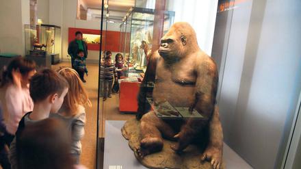 Nur keine Langeweile aufkommen lassen. Auch Kinder können für Museumsbesuche begeistert werden – wie hier im Berliner Naturkundemuseum. Das Potsdam Museum bietet dafür spezielle Programme an.