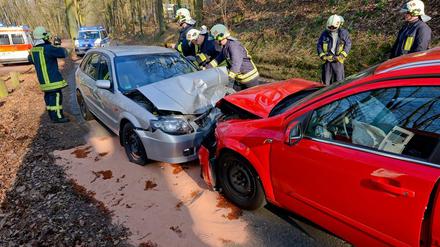 20 Kameraden der Freiwilligen Feuerwehren Caputh und Geltow mussten anrücken.