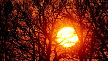 Macht die Sonne schlapp?