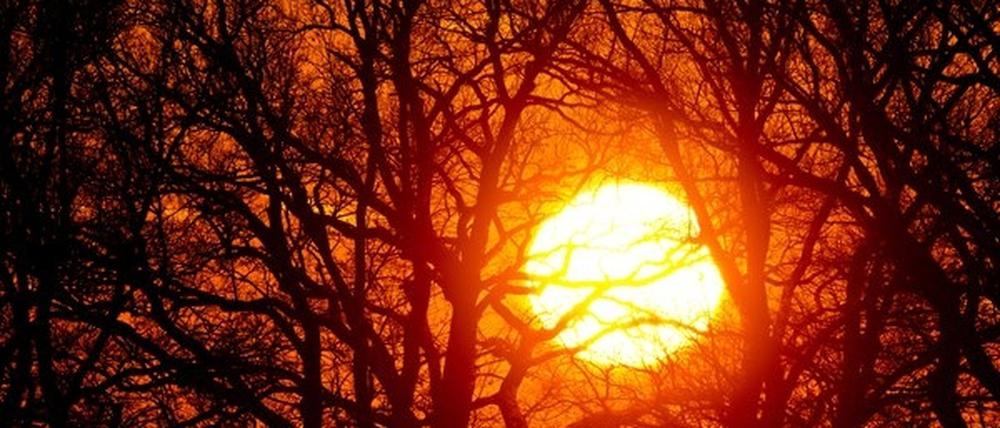 Macht die Sonne schlapp?