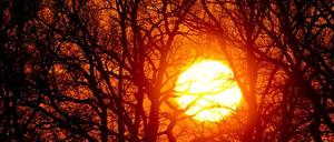 Macht die Sonne schlapp?