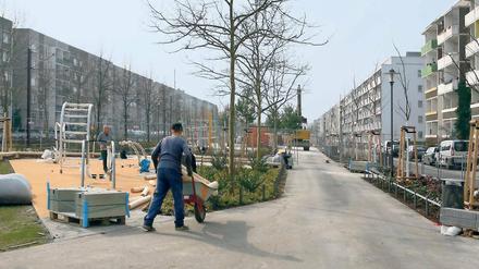 Grün, aber gefährlich? Anwohner in Drewitz kritisieren die Verkehrssituation.