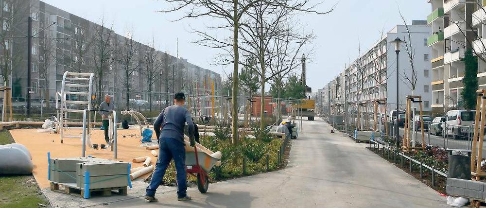 Grün, aber gefährlich? Anwohner in Drewitz kritisieren die Verkehrssituation.