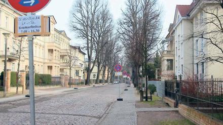 Verwaist. Keine Autos in der Hebbelstraße, aber auch keine Baumfäller.