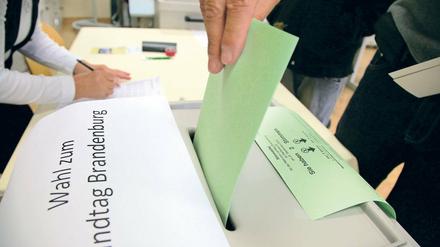 Es geht los. Auch die kleinen Parteien in Brandenburg beginnen mit den Vorbereitungen zur Landtagswahl am 14. September.