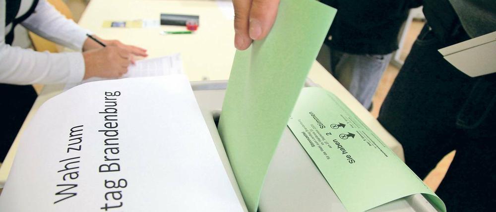 Es geht los. Auch die kleinen Parteien in Brandenburg beginnen mit den Vorbereitungen zur Landtagswahl am 14. September.