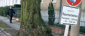 Bald Brennholz. In der Semmelweisstraße sollen fast alle Bäume gefällt werden. Viele Anwohner finden das gut, denn durch das Wurzelwerk gibt es Schäden an den Häusern. Nach der Sanierung sollen neue Bäume gepflanzt werden.