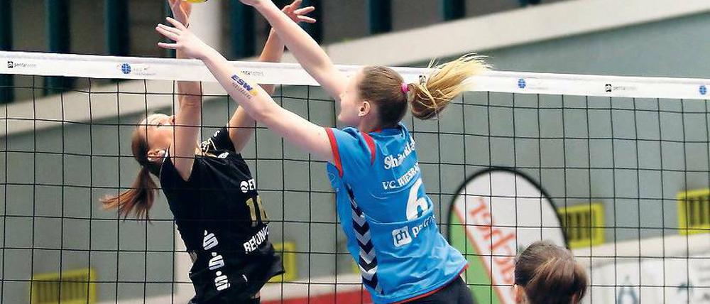 Block-Out. Wiesbaden schaffte es immer wieder den Potsdamer Block (hier Doreen Engel) so an zu spielen, dass der geblockte Ball direkt von dort ins Aus fiel.