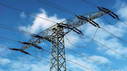 Verhasster Mast. Die Golmer hätten die Leitung am liebsten raus aus dem Ort. Laut Stadtverwaltung könnte dies bis zu 2,8 Millionen Euro kosten.