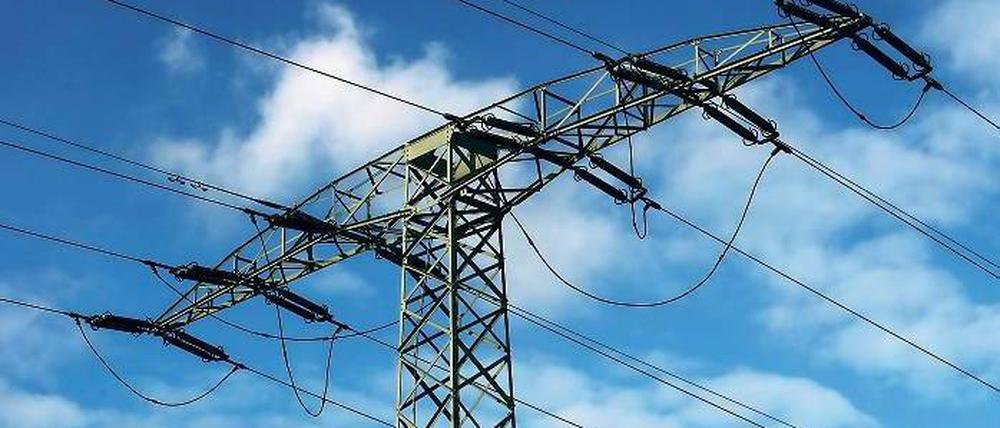 Verhasster Mast. Die Golmer hätten die Leitung am liebsten raus aus dem Ort. Laut Stadtverwaltung könnte dies bis zu 2,8 Millionen Euro kosten.
