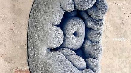 Seltsame Gebilde. „Growth“ von Michael Wagner.
