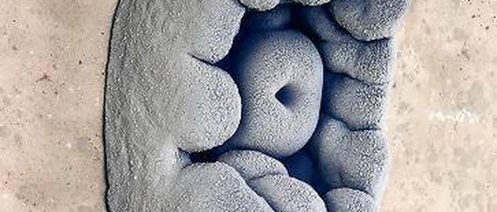 Seltsame Gebilde. „Growth“ von Michael Wagner.