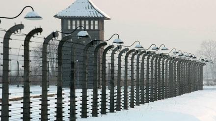 Niemals vergessen: Die Befreiung des Konzentrationslages in Auschwitz jährt sich am heutigen Montag zum 69. Mal.