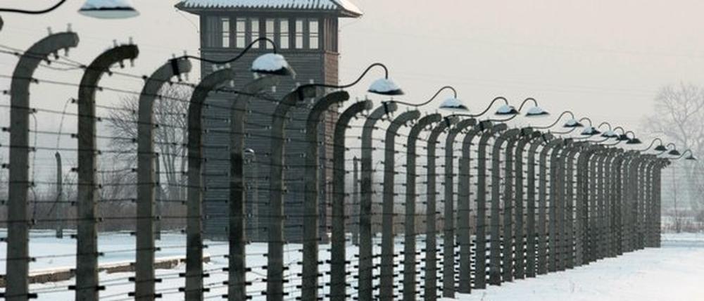 Niemals vergessen: Die Befreiung des Konzentrationslages in Auschwitz jährt sich am heutigen Montag zum 69. Mal.