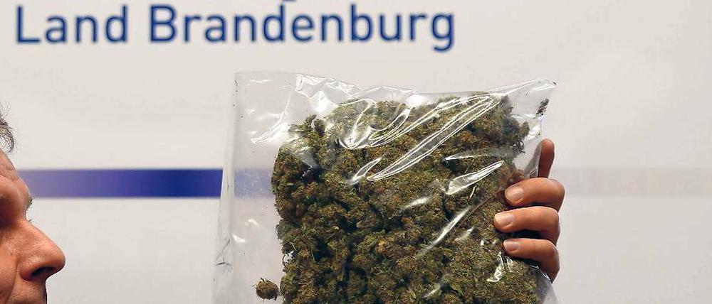 Drogen und Geld. Auch dieser Beutel mit Cannabis wurde beschlagnahmt.