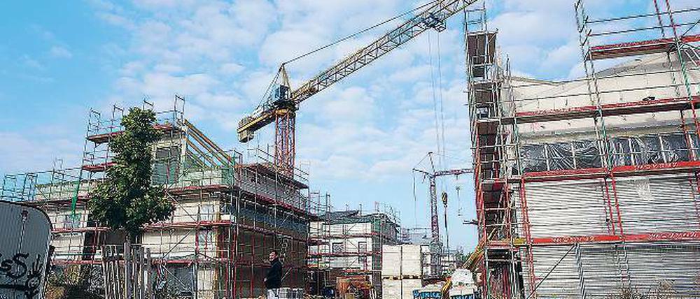 Boomtown. Im Teltower Mühlendorf wird kräftig gebaut, es gehört zu den größten Entwicklungsarealen der Stadt.