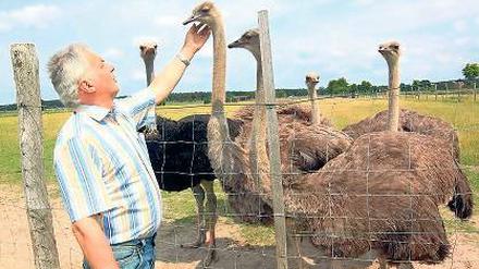 Beelitzer Exoten. Nur ihr Fleisch und ihre Eier gibt es auf der Grünen Woche.