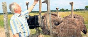 Beelitzer Exoten. Nur ihr Fleisch und ihre Eier gibt es auf der Grünen Woche.