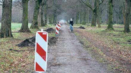 Asphaltieren? Die Stadt sagt Ja, das Landesdenkmalamt sagt Nein.