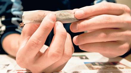 Sucht. Marihuana ist die beliebteste illegalen Droge. Sie macht Kinder abhängig und deren Eltern oft hilflos.