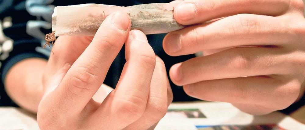 Sucht. Marihuana ist die beliebteste illegalen Droge. Sie macht Kinder abhängig und deren Eltern oft hilflos.