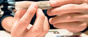 Sucht. Marihuana ist die beliebteste illegalen Droge. Sie macht Kinder abhängig und deren Eltern oft hilflos.