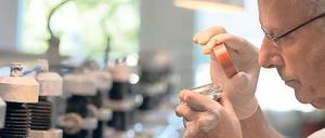 In der Kritik. CDU und FDP in Brandenburg bemängeln, dass eine unter Rot-Rot ausufernde Staatswirtschaft und eine übermäßige Regulierung die private Wirtschaft verdrängen und einen fairen Wettbewerb zwischen öffentlichen und privaten Betrieben behindern.