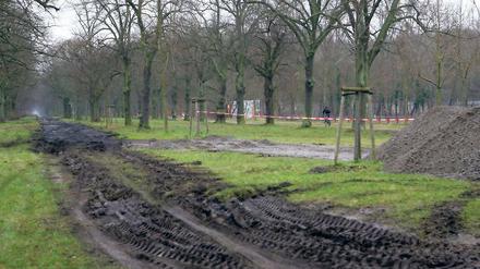 Baustelle im Welterbe. Die Denkmalschützer wollen einen wassergebundenen Weg in der mittleren Allee, die Stadt hingegen einen asphaltierten Radschnellweg zwischen den nördlichen Baumreihen. Offiziell ist der Streit noch nicht beigelegt, doch wie unschwer zu erkennen ist, haben die Arbeiten schon begonnen.