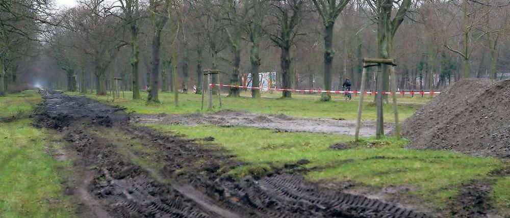 Baustelle im Welterbe. Die Denkmalschützer wollen einen wassergebundenen Weg in der mittleren Allee, die Stadt hingegen einen asphaltierten Radschnellweg zwischen den nördlichen Baumreihen. Offiziell ist der Streit noch nicht beigelegt, doch wie unschwer zu erkennen ist, haben die Arbeiten schon begonnen.