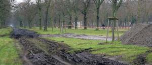 Baustelle im Welterbe. Die Denkmalschützer wollen einen wassergebundenen Weg in der mittleren Allee, die Stadt hingegen einen asphaltierten Radschnellweg zwischen den nördlichen Baumreihen. Offiziell ist der Streit noch nicht beigelegt, doch wie unschwer zu erkennen ist, haben die Arbeiten schon begonnen.