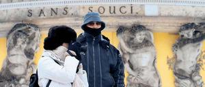 Eisiges Potsdam – bisher nicht. Dieses Jahr ist der Winter noch sehr mild.