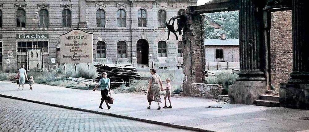 Die Geschichte Brandenburgs in Fotografien aus privaten Alben. Das zeigen die zahlreichen Bilder auf dem Portal Zeitstimmen wie diese Aufnahme der Wilhelm-Staab-Straße in Potsdam im Jahr 1956.