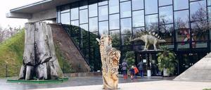 Zukunft? Für die Biosphäre am Volkspark gibt es verschiedene Pläne.