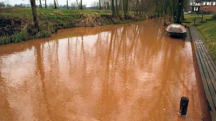 Mit Ansage? Einem Greenpeace-Gutachten zufolge ist die Verockerung weiterer Gewässer absehbar, sollte der Tagebau Welzow-Süd II wie beantragt genehmigt werden. An der Spree kämpfen Experten schon seit Monaten gegen angeschwemmten Eisenschlamm.