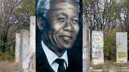 Die sieben Despoten der Welt. Sie haben der Welt das Fürchten gelehrt und die Bevölkerung ihrer Länder oft in Hunger und Not getrieben. In Teltow sind Mahmud Ahmadinedschad, Idriss Déby, Omar al-Bashir, Kim Jong-Il, Robert Mugabe, Muammar al-Gaddafi und Thein Sein (v.l.) auf alte Mauerteile gemalt. Das Werk will zeigen, dass es noch viel mehr Mauern einzureißen gilt. So ist es darauf in Englisch zu lesen.