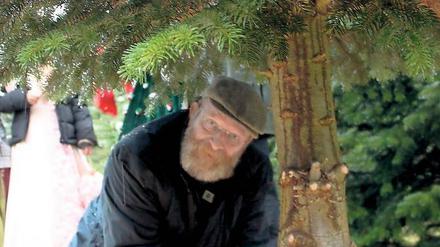 Dicker Stamm. Wolfgang Blasig legte höchstpersönlich Hand an einer der ersten Weihnachtsbäume an, die ab jetzt wieder auf dem Tannenhof geschlagen werden. Dank einer ständigen Bewässerung sind die Bäume in diesem Jahr besonders gut gewachsen.