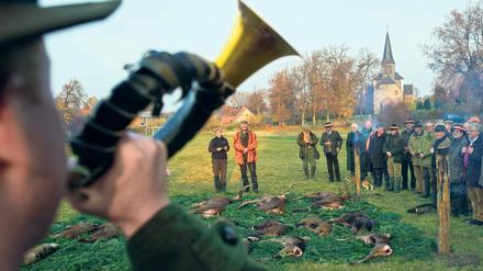 Auf dem Holzweg? Jagdstrecke im brandenburgischen Sauen (Oder-Spree). Nach Ansicht von Brandenburgs Nabu-Vorstand Helmut Brücher sind die Jäger schuld an den steigenden Tierbeständen im Land.