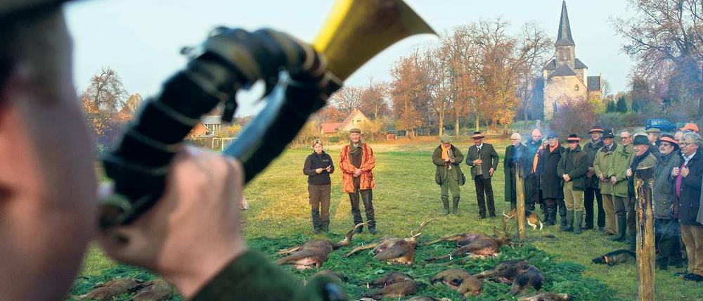 Auf dem Holzweg? Jagdstrecke im brandenburgischen Sauen (Oder-Spree). Nach Ansicht von Brandenburgs Nabu-Vorstand Helmut Brücher sind die Jäger schuld an den steigenden Tierbeständen im Land.