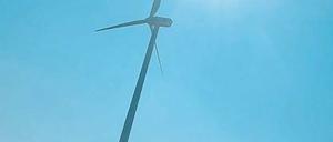 Windrad südlich von Stahnsdorf. Die Windparkbetreiber sind noch unbesorgt.