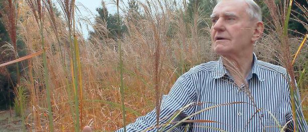 Dirigent der Gräser. Hermann Kühne gehört zu den größten Schilfsammlern Deutschlands. Gerade im nahenden Winter sind sie oft der einzige Schmuck eines Gartens. Über 100 Sorten hat Kühne auf mehreren Feldern seines Gartens gepflanzt.