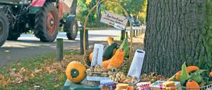 Dörfliches Flair. Für Verkaufsstände am Straßenrand fordert das Michendorfer Ordnungsamt eine Genehmigung.
