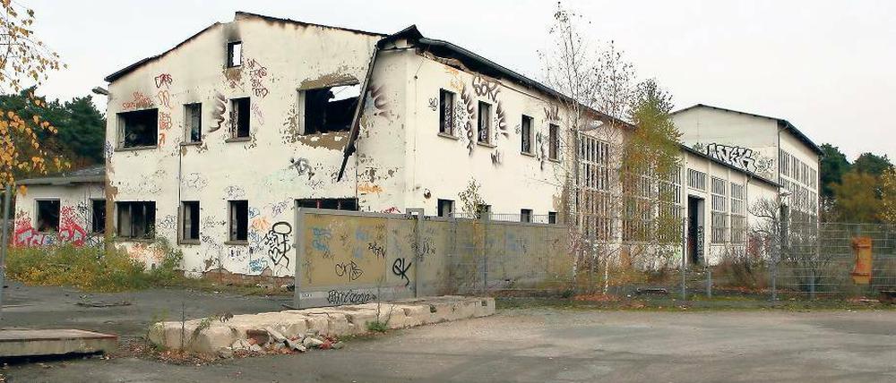 Abgebrannt. Das ehemalige Potsdamer Plattenwerk steht seit Jahren leer.