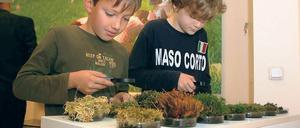 Moosforscher. René und Jan erkunden, wie sich die Arten unterscheiden