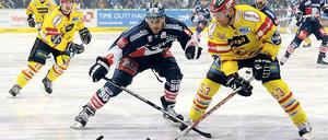 Fehlende Präsenz auf dem Eis. Constantin Braun (l.) hat in dieser Saison wegen seiner Erkrankung noch kein Spiel bestreiten können. Wann der spielerisch beste Verteidiger der Eisbären wieder in der DEL auflaufen kann, ist aber derzeit völlig offen.
