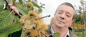 Überraschung. Vor allem die Esskastanie hat Matthias Zander verblüfft. Der Wissenschaftler von der Berliner Humboldt-Universität ist besonders vom schnellen geraden Wuchs und der Widerstandsfähigkeit des Baums gegen Frost begeistert.