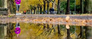 Beim Joggen wurde eine Frau in Potsdam belästigt.