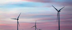 Kaum halb so groß wie geplant. Die Stadt Beelitz versucht derzeit strengere Kriterien für die Windenergienutzung in der Kommune durchzusetzen.