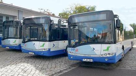 Flotte Linie. Die Solaris-Busse werden im Raum Werder unterwegs sein.